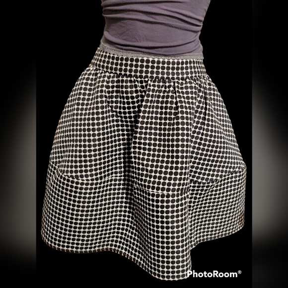 NWT Zara Skirt Bouffant 10 Fully Lined - Picture 3 of 7